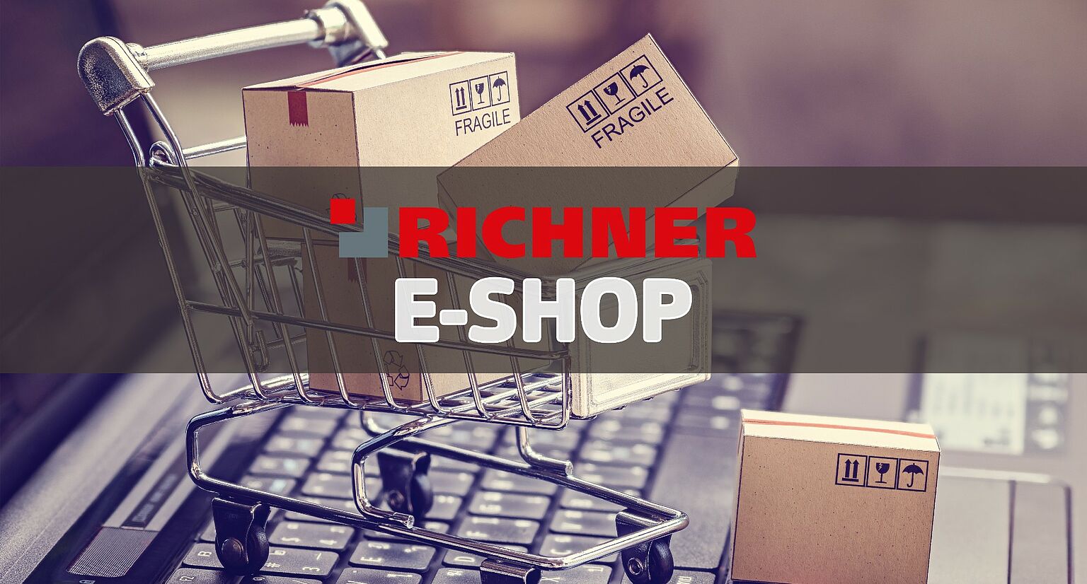 csm_RI_EShop_Internet_652635fcbe